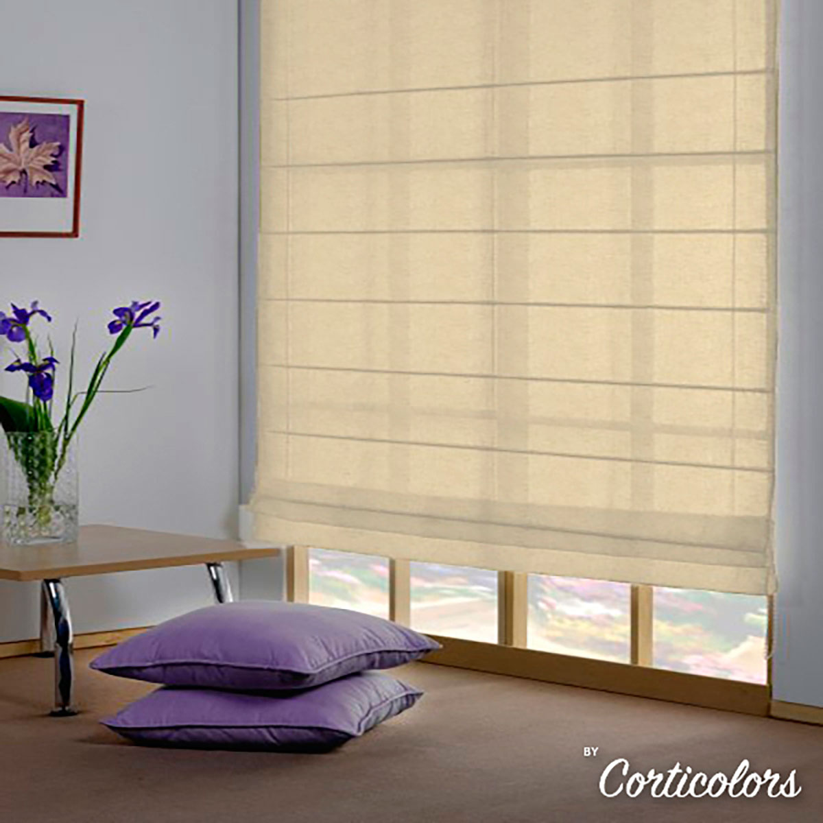 Estores paquetto y plegables corticolors