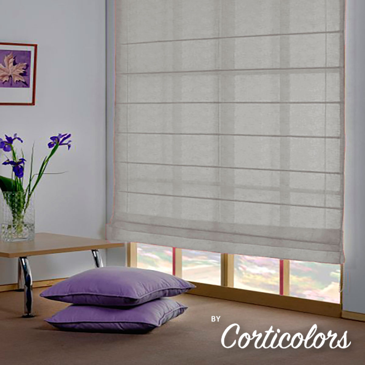 Estores Paqueto Plegables Corticolors